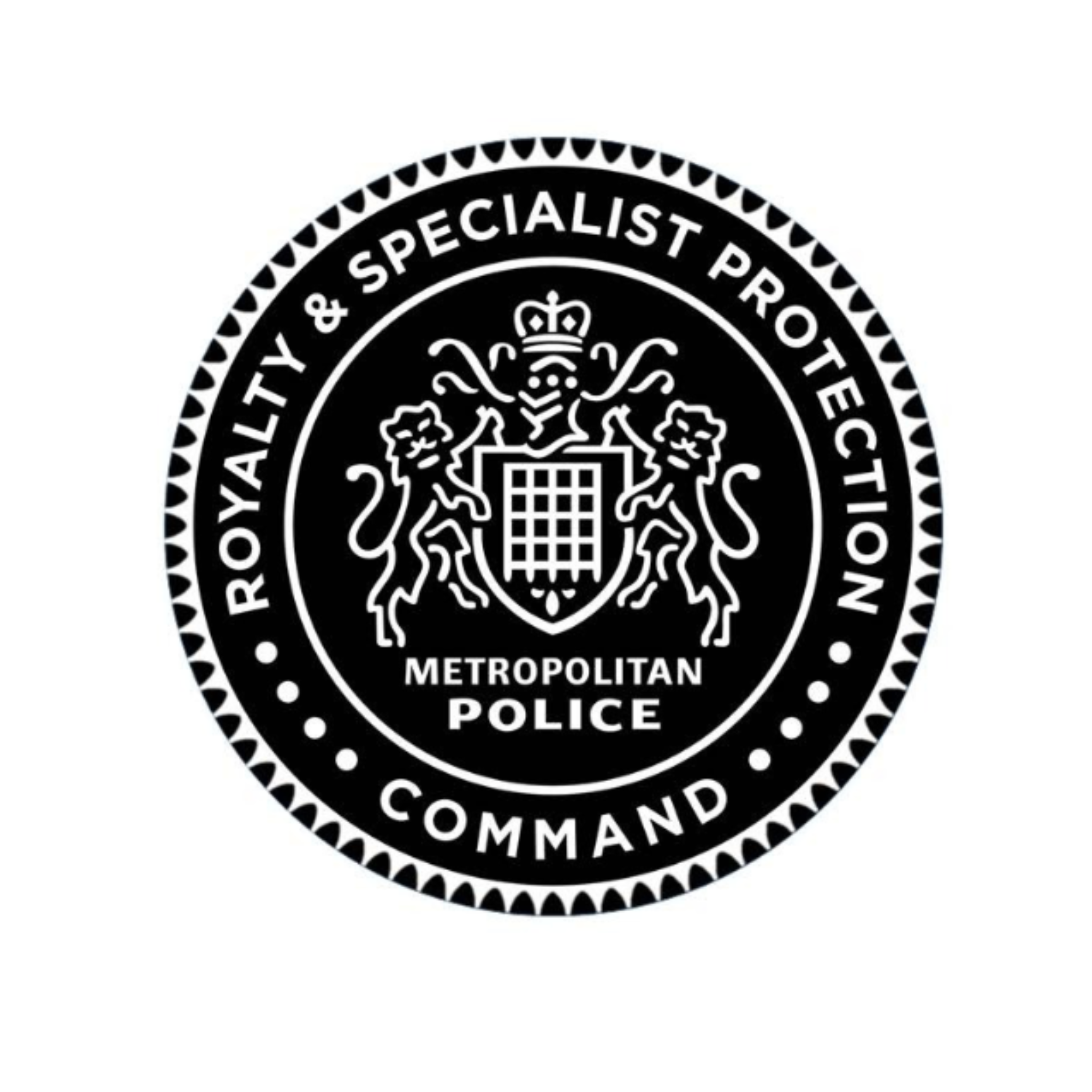 Close-up of the Royalty & Specialist Protection Command ( RaSP) leather polo belt leather and stitching detail