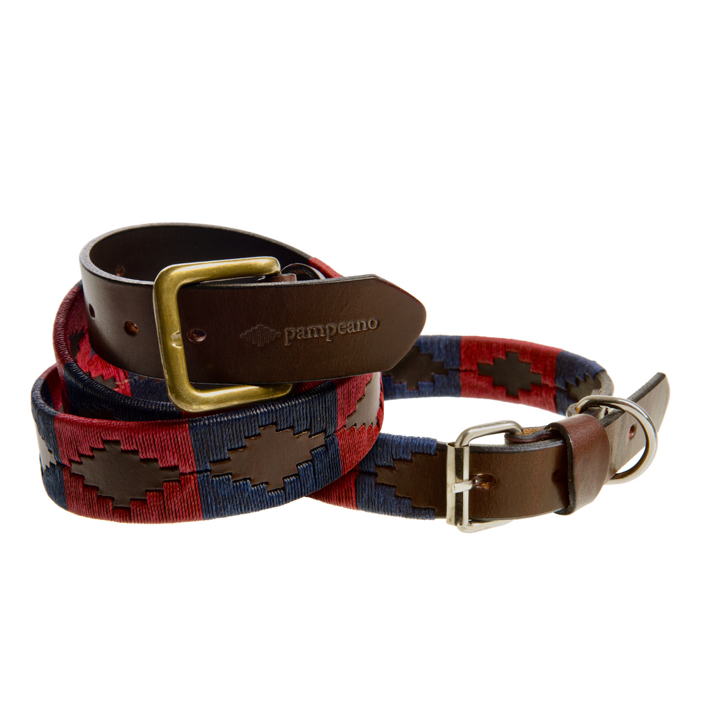 Household Division leather polo belt shown with buckle detail