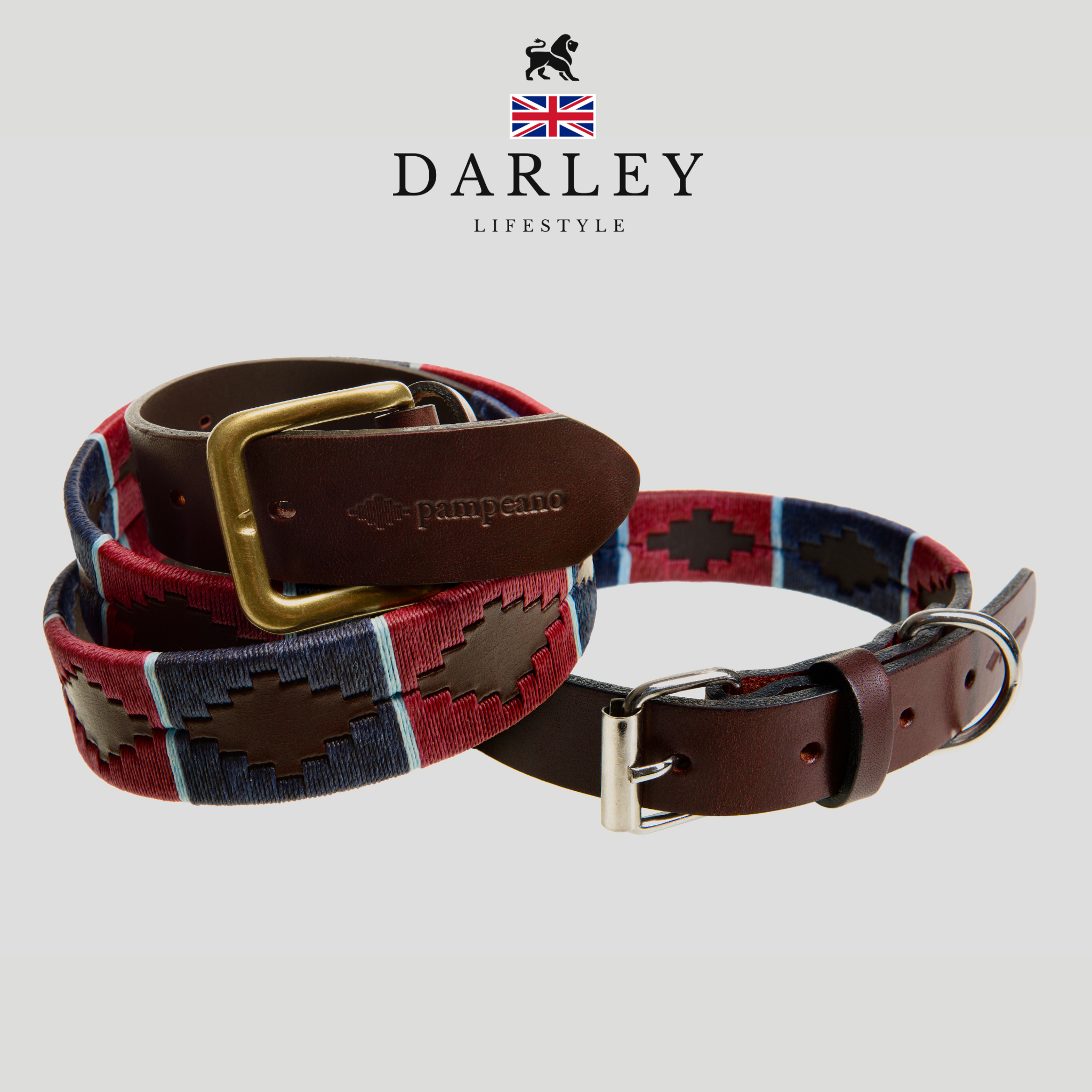 The Country Direct & Pampeano Royal Air Force (RAF) Leather Dog Collar and matching polo belt, made with the finest leather, featuring red and blue wax thread detailing.